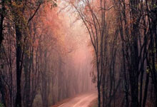 南宫体育官网：张帅夺得澳网亚太区外卡赛女单冠军人民日报客户端.