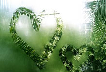 南宫体育官网：战国足首开记录，澳大利亚中场杰克逊-欧文当选全场最佳球员.