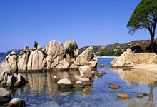 南宫体育官网：⚽️西甲战报：科内失良机，索利斯绝杀，赫罗纳1-0客胜阿拉维斯.